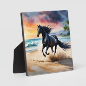 Plaque Photo Wild black stallion galloping (Recto)