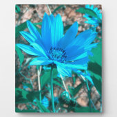 Plaque photo Wild Blue Sunflower (Devant)