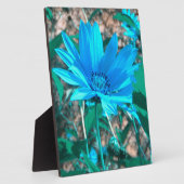 Plaque photo Wild Blue Sunflower (Côté)
