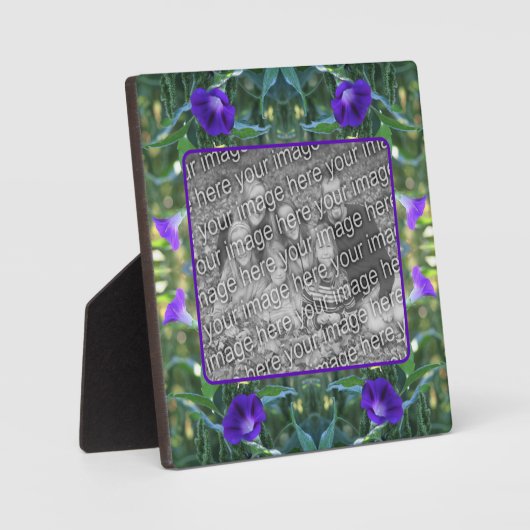 Plaque Photo Wild Morning Glory Flowers Ajoutez Votre Propre Ph (Recto)