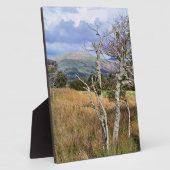 PLAQUE PHOTO WILD WALDS (Côté)