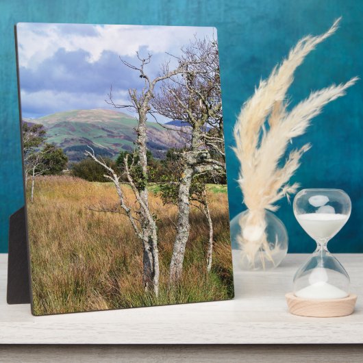 PLAQUE PHOTO WILD WALDS (Côté)