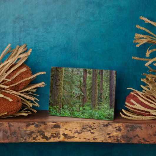 Plaque Photo Willamette National Forest | Oregon (Côté)