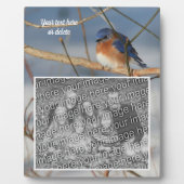 Plaque Photo Winter Bluebird Créez votre propre photo (Devant)