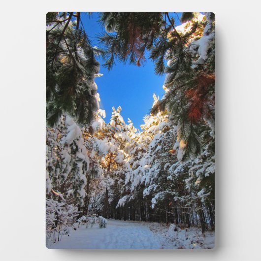 Plaque Photo Winter Wonderland (Devant)