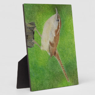 Plaque Photo Wren