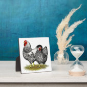 Plaque Photo Wyandotte : Paire d'argent (Insitu)