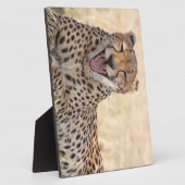Plaque Photo Yawning Cheetah (Côté)