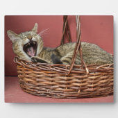 Plaque Photo Yawning Kitty Chat (Devant)