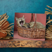 Plaque Photo Yawning Kitty Chat (Côté)