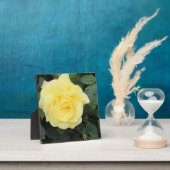Plaque Photo Yello Rose (Insitu)