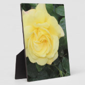 Plaque Photo Yello Rose (Côté)