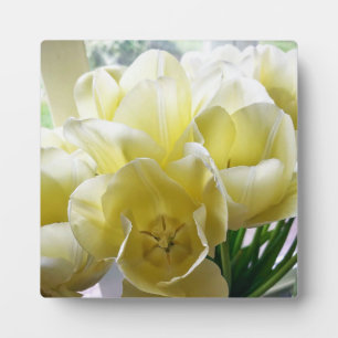 Plaque Photo Yellow Tulip Bouquet