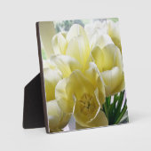 Plaque Photo Yellow Tulip Bouquet (Recto)
