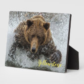 Plaque photo-Yellowstone Bear Plaque (Côté)