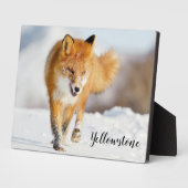 Plaque photo-Yellowstone Red Fox Plaque (Côté)