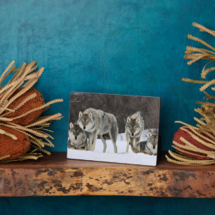 Plaque photo-Yellowstone Wolves Plaque