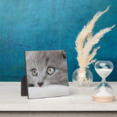 Plaque Photo Yeux de chat (Insitu)
