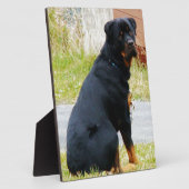 Plaque Photo Yeux de chiot (Côté)