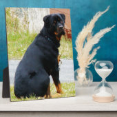 Plaque Photo Yeux de chiot (Côté)