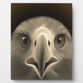 Plaque Photo Yeux de l'aigle (Devant)