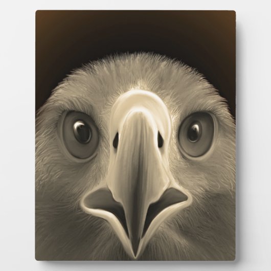 Plaque Photo Yeux de l'aigle (Devant)