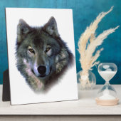 Plaque Photo Yeux de loup gris (Côté)