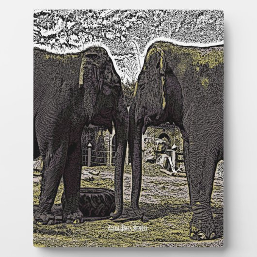 Plaque Photo Yeux éléphants (Devant)
