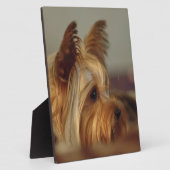Plaque Photo Yorkshire Terrier (Côté)