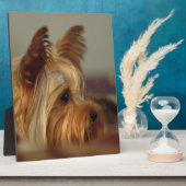 Plaque Photo Yorkshire Terrier (Côté)