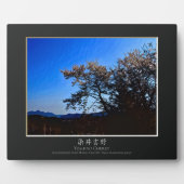 Plaque Photo Yoshino Cherry (Devant)