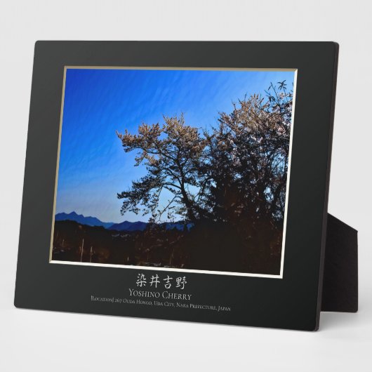 Plaque Photo Yoshino Cherry (Côté)