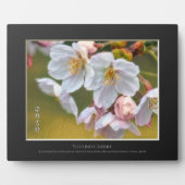 Plaque Photo Yoshino Cherry (Devant)