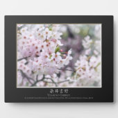 Plaque Photo Yoshino Cherry (Devant)