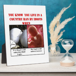 PLAQUE PHOTO YOU KNOW YOU LIVE IN COUNTRY RAN BY IDIOTS