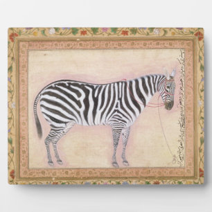 Plaque Photo Zebra, from the 'Minto Album', 1621 (gouache on pa