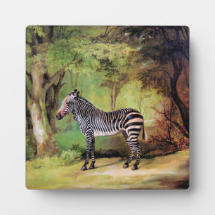 Plaque Photo Zèbre, œuvre d'art de George Stubbs,