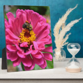 Plaque Photo Zinnia rose et Bumble bee (Côté)
