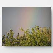Plaque Rainbow Sky (Devant)