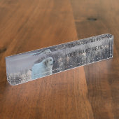 Plaque signalétique de bureau de Grands Pyrénées (Taille)