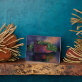 Plaque SS Ayrfield abandonnée (Côté)