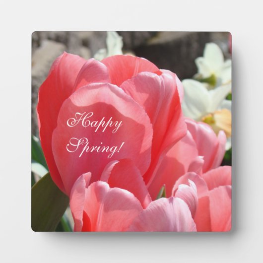 Plaques Bon Printemps ! Tulipes Roses Fleurs ensei (Devant)