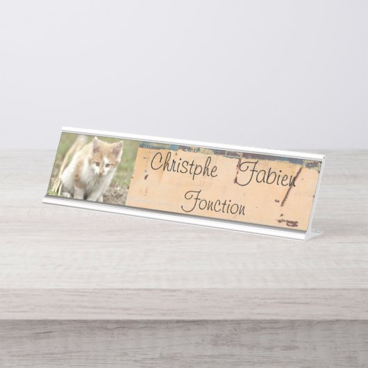 Plaques de nom animaux de chat. (Devant)