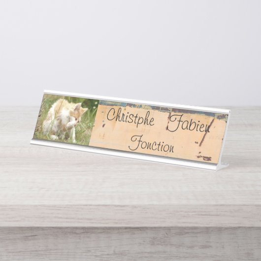 Plaques de nom chat 1 . animaux. (Devant)