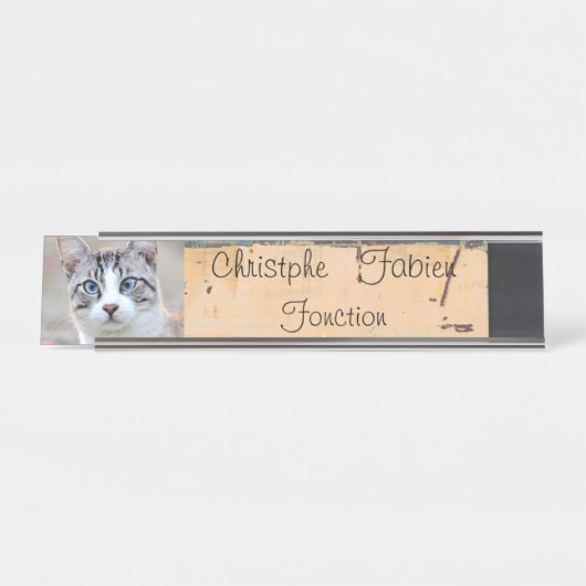 Plaques de nom chat 2 . animaux. (Devant)