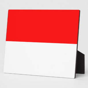 Plaquette met vlag van Indonesië Fotoplaat