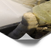 Plastic flessen en oceaandumping op een tropisch poster (Hoek)