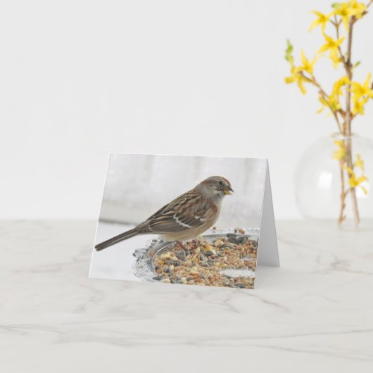 Plate-forme Sparrow et Silver - Carte blanche (Fleur jaune)