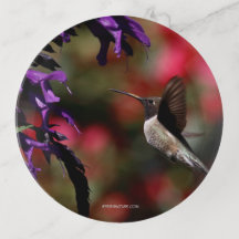Plateau à bibelots représentant un colibri