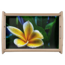 Plateau de service Frangipani